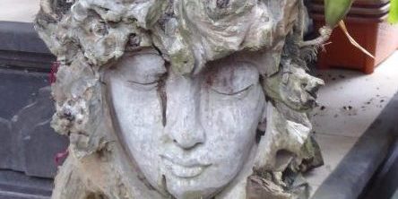 Menschenkenntnis, Psychophysiognomik Ausbildung in München