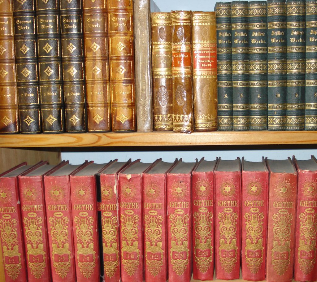 Homöopathie Ausbildung, HomöoCampus,