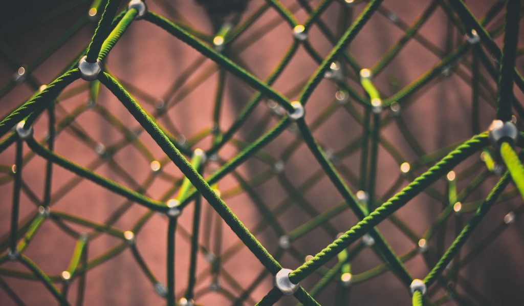 Netzwerk, HomöoCampus, Homöopathie-Seminare