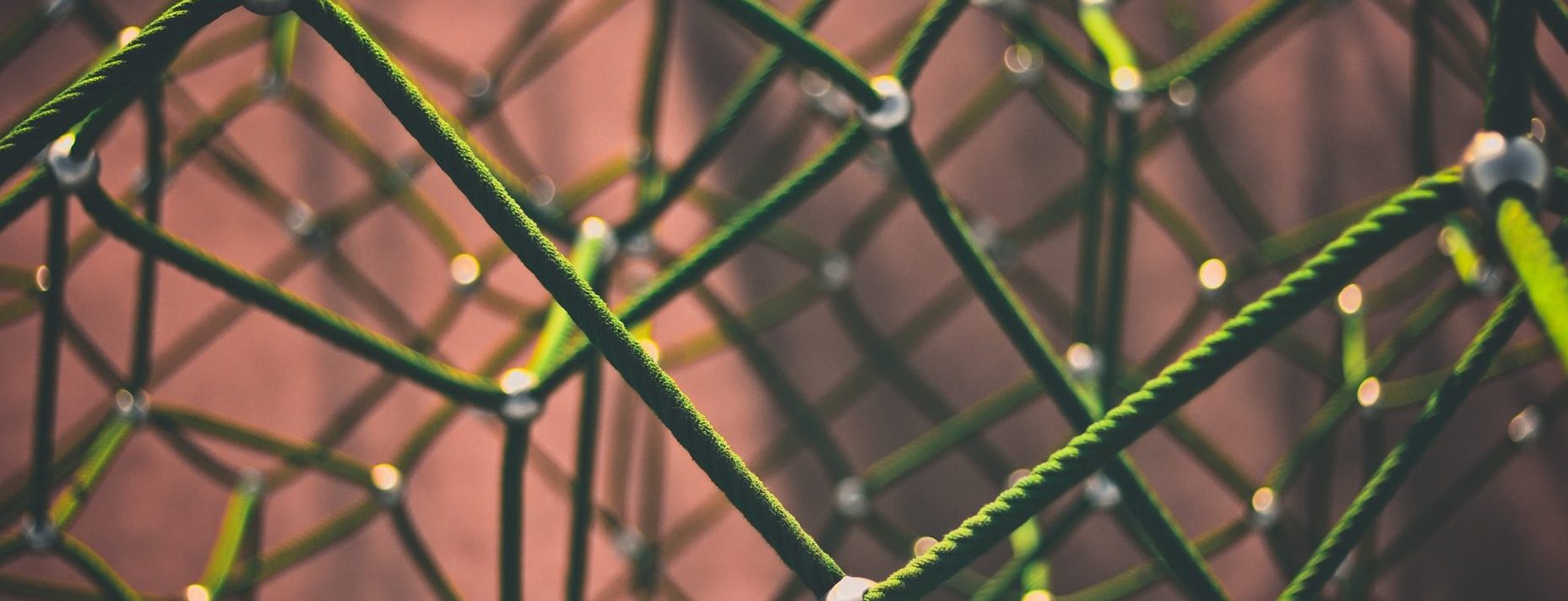 Netzwerk, HomöoCampus, Homöopathie-Seminare