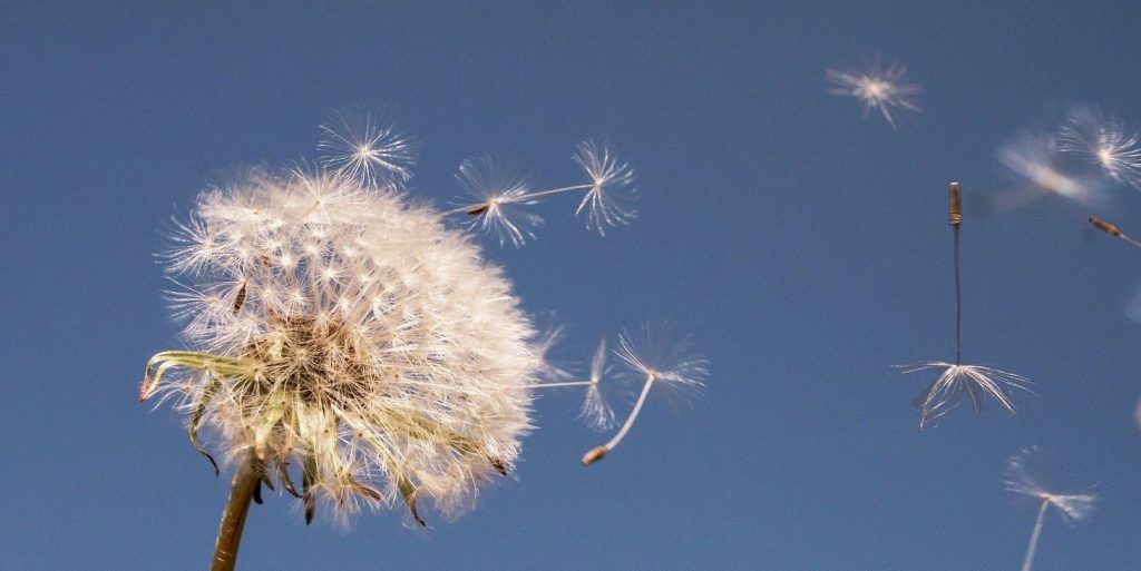 Atemtherapie in München