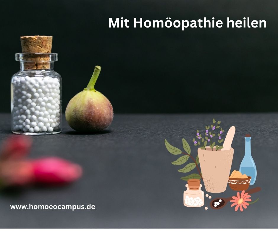 Mit Homöopathie heilen bei Homöocampus in München